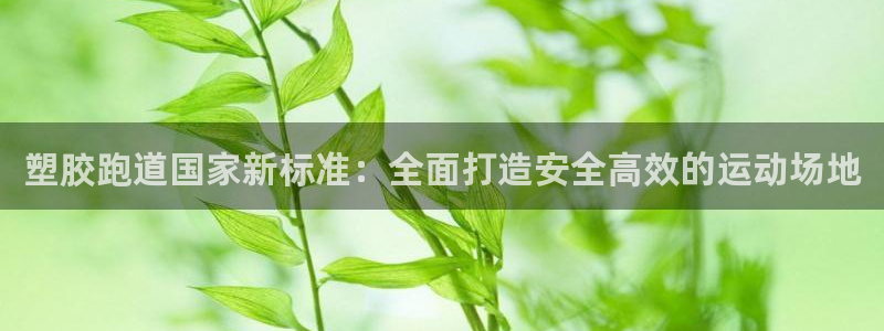 尊龙d88官网准认来就送38：塑胶跑道国家新标准：全面打造安全高效的运动场地