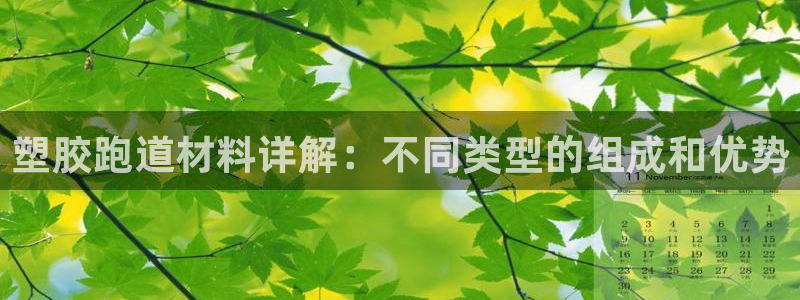 凯时k8官网首页：塑胶跑道材料详解：不同类型的组成和优势