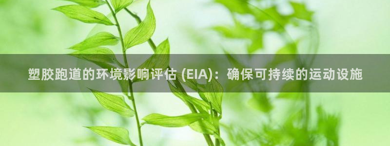 凯时旗舰厅App下载：塑胶跑道的环境影响评估 (EIA)：确保可持续的运动设施