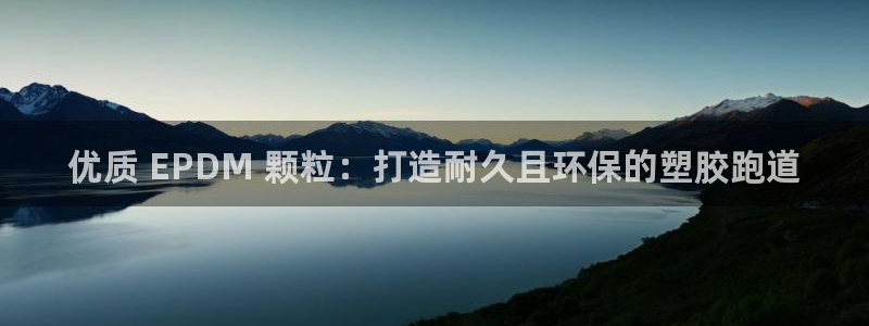 尊龙人生就是博登陆：优质 EPDM 颗粒：打造耐久且环保的塑胶跑道