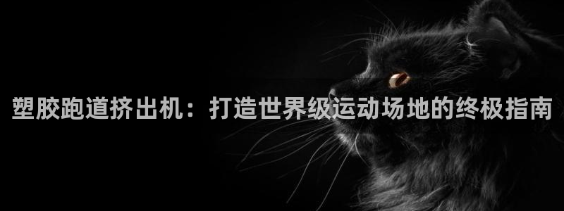 尊龙人生就是搏：塑胶跑道挤出机：打造世界级运动场地的终极指南