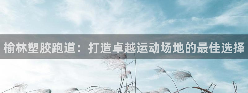 尊龙版末代皇帝