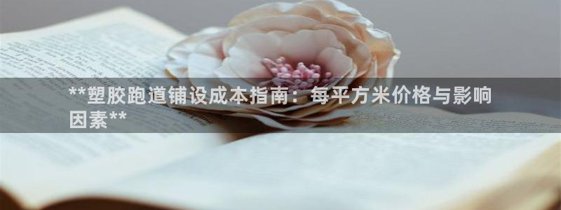 尊龙一人生就是博电子游戏：**塑胶跑道铺设成本指南：每平方米价格与影响
因素**