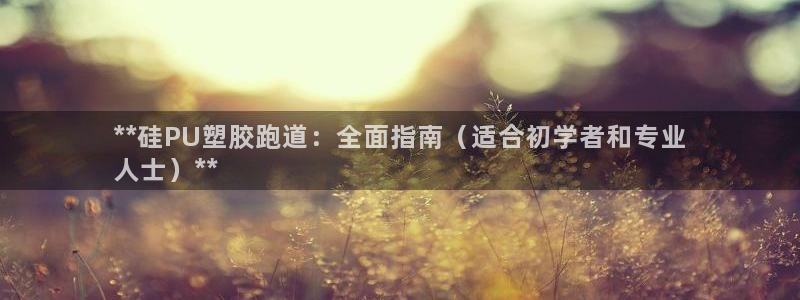 尊龙手机客户端下载APP：**硅PU塑胶跑道：全面指南（适合初学者和专业
人士）**