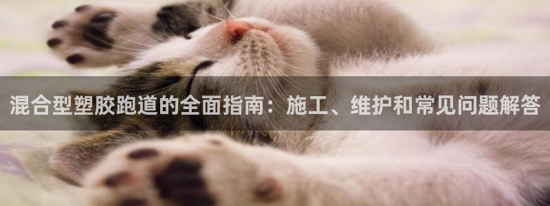 尊龙ag旗舰厅官网登录：混合型塑胶跑道的全面指南：施工、维护和常见问题解答