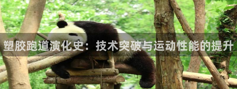 尊龙人生就是博送38：塑胶跑道演化史：技术突破与运动性能的提升