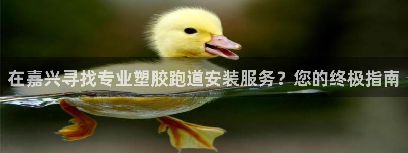 尊龙凯时赞助：在嘉兴寻找专业塑胶跑道安装服务？您的终极指南