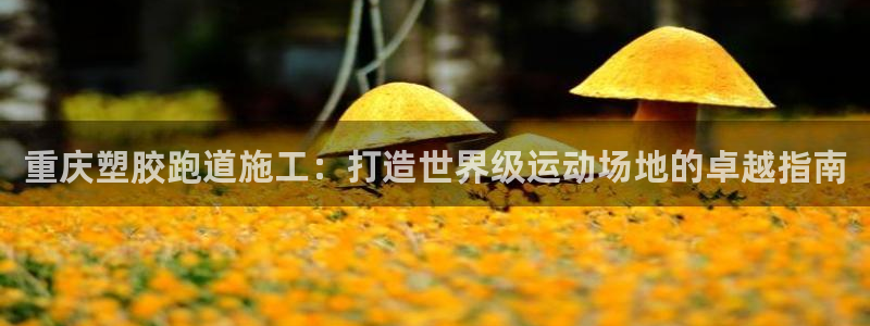尊龙凯时百万奖池：重庆塑胶跑道施工：打造世界级运动场地的卓越指南