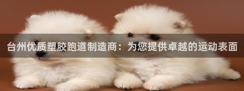 尊龙凯时怎么注销账号：台州优质塑胶跑道制造商：为您提供卓越的运动表面