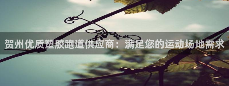 尊龙凯时美金能提取吗：贺州优质塑胶跑道供应商：满足您的运动场地需求