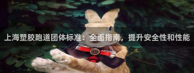 尊龙app怎么样：上海塑胶跑道团体标准：全面指南，提升安全性和性能