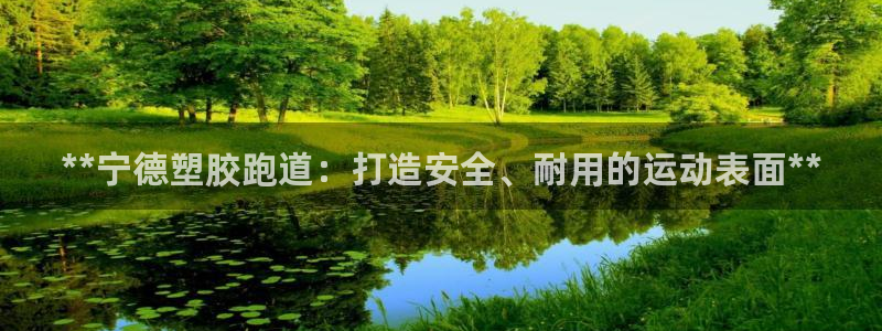 尊龙官网国际：**宁德塑胶跑道：打造安全、耐用的运动