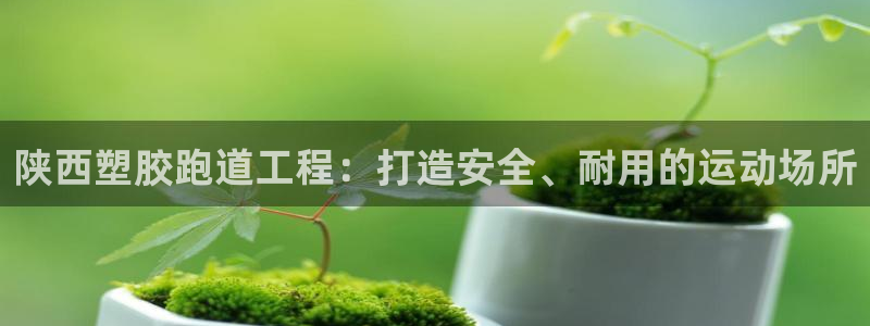 尊龙凯时是哪个国家的：陕西塑胶跑道工程：打造安全、耐用的运动场所