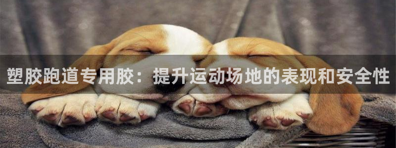 ag尊龙凯时俱乐部：塑胶跑道专用胶：提升运动场地的表现和安全性