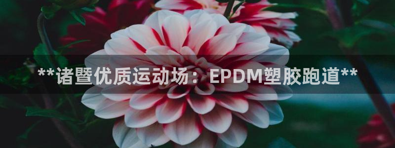 尊龙凯时网：**诸暨优质运动场：EPDM塑胶跑道**