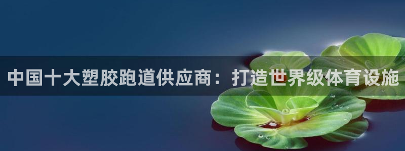kb88凯时唯一官网注册：中国十大塑胶跑道供应商：打造世界级体育设施