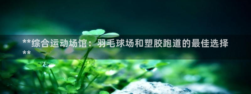 尊龙凯时邀请码：**综合运动场馆：羽毛球场和塑胶跑道的最佳选择
**