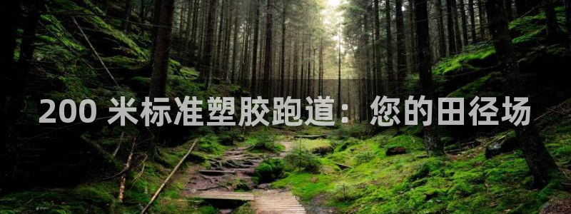 尊龙z6官网ag：200 米标准塑胶跑道：您的田径场