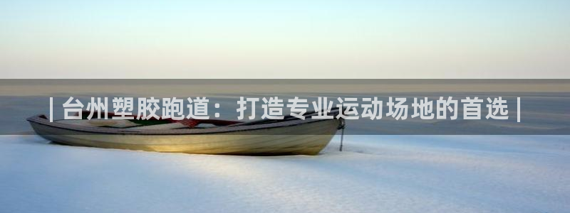 凯时国际app登录：| 台州塑胶跑道：打造专业运动场地的首选 |