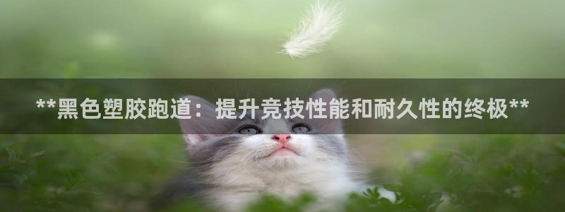 尊龙凯时链接：**黑色塑胶跑道：提升竞技性能和耐久性