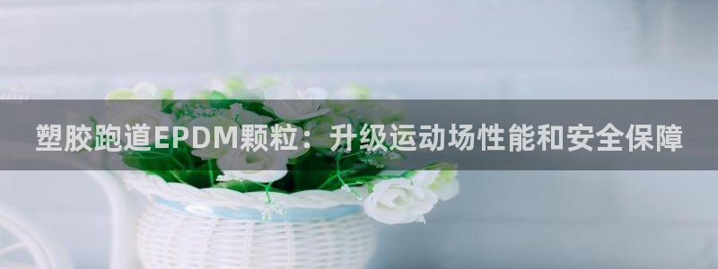 尊龙d88手机app免费下载：塑胶跑道EPDM颗粒：