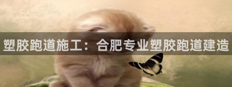 尊龙得过奥斯卡吗：塑胶跑道施工：合肥专业塑胶跑道建造