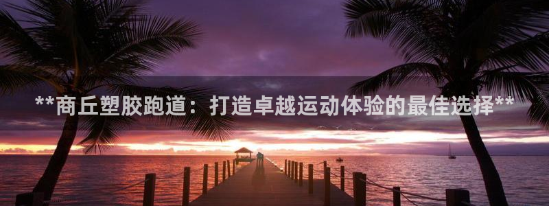 尊龙凯时品牌介绍：**商丘塑胶跑道：打造卓越运动体验的最佳选择**