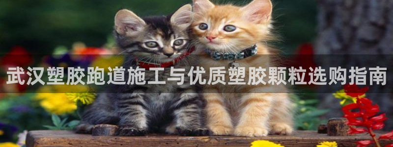 尊龙平台登录：武汉塑胶跑道施工与优质塑胶颗粒选购指南