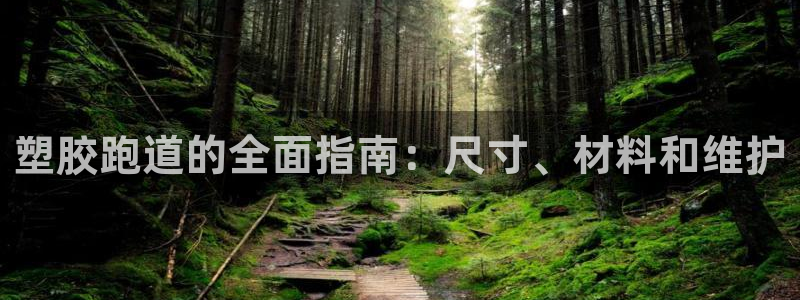 尊龙凯时的钱能退回来吗：塑胶跑道的全面指南：尺寸、材料和维护