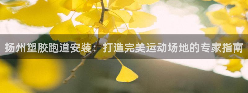 AG尊龙凯时注册：扬州塑胶跑道安装：打造完美运动场地的专家指南