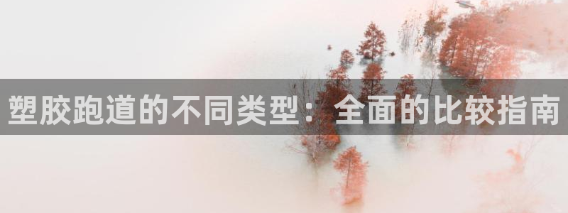 尊龙官网手机版：塑胶跑道的不同类型：全面的比较指南