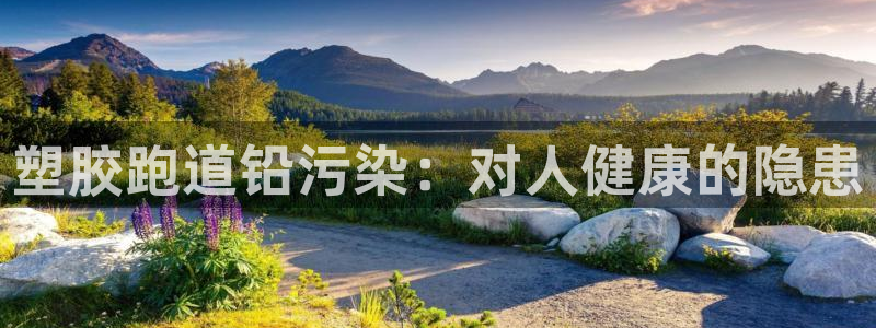 尊龙凯时官网网页版：塑胶跑道铅污染：对人健康的隐患
