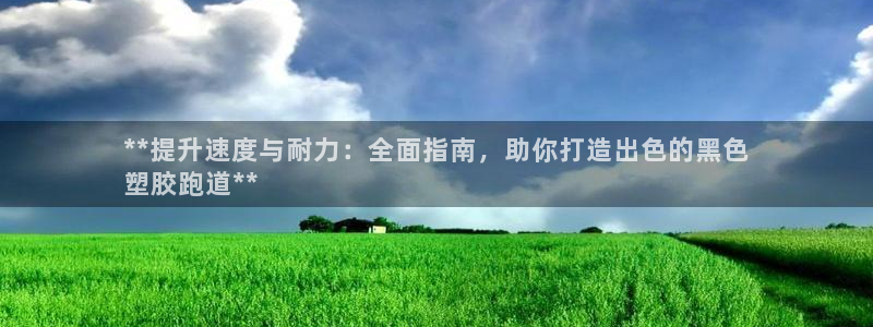 尊龙凯时ag旗舰厅官：**提升速度与耐力：全面指南，助你打造出色的黑色
塑胶跑道**