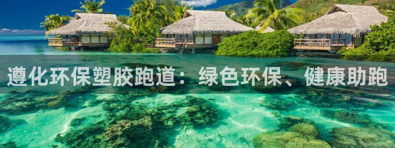 尊龙服饰品牌介绍：遵化环保塑胶跑道：绿色环保、健康助跑