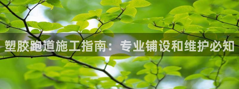 怎样能成为尊龙凯时平台的会员：塑胶跑道施工指南：专业铺设和维