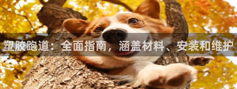凯时k66会员登录：塑胶跑道：全面指南，涵盖材料、安装和维护