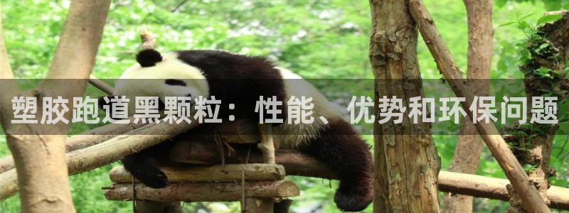 d88尊龙手机客户端下载：塑胶跑道黑颗粒：性能、优势和环保问题