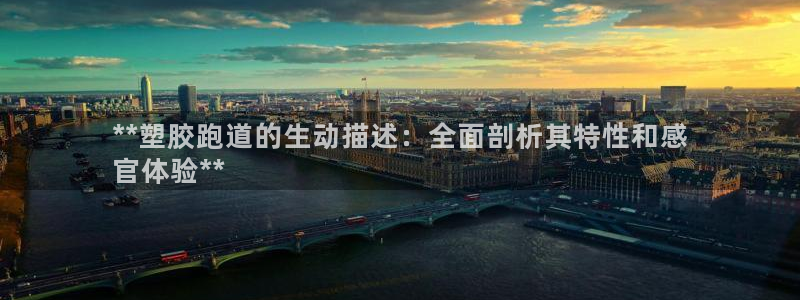 尊龙凯时代理官网入口：**塑胶跑道的生动描述：全面剖析其特性和感
官体验**