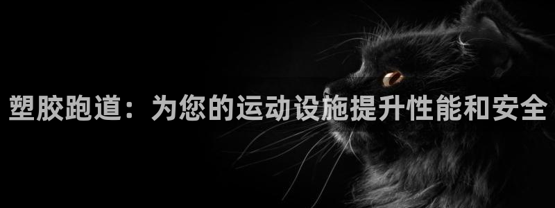 有人在凯时赢过钱吗：塑胶跑道：为您的运动设施提升性能和安全