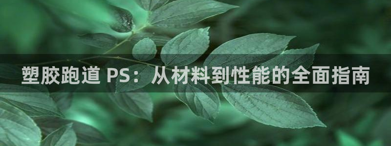 尊龙用现金娱乐一下下载旧：塑胶跑道 PS：从材料到性