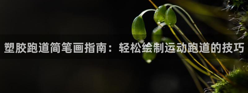 尊龙凯时登陆入口：塑胶跑道简笔画指南：轻松绘制运动跑