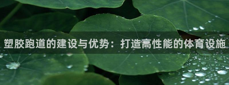 尊龙app下载官网：塑胶跑道的建设与优势：打造高性能的体育设施