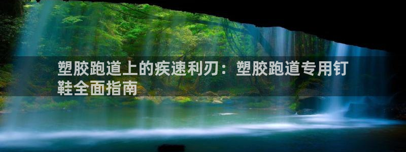 尊龙官方网址：塑胶跑道上的疾速利刃：塑胶跑道专用钉
鞋全面指南