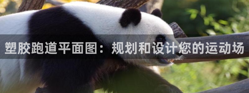 凯时在线平台官网：塑胶跑道平面图：规划和设计您的运动场