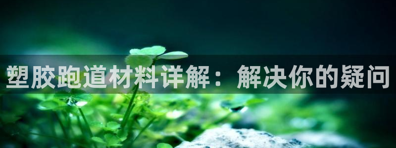 凯时官网手机版首页