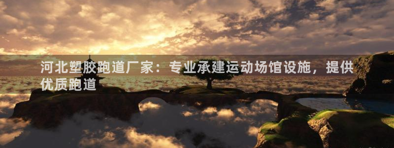 尊龙凯时几百万怎么下款：河北塑胶跑道厂家：专业承建运