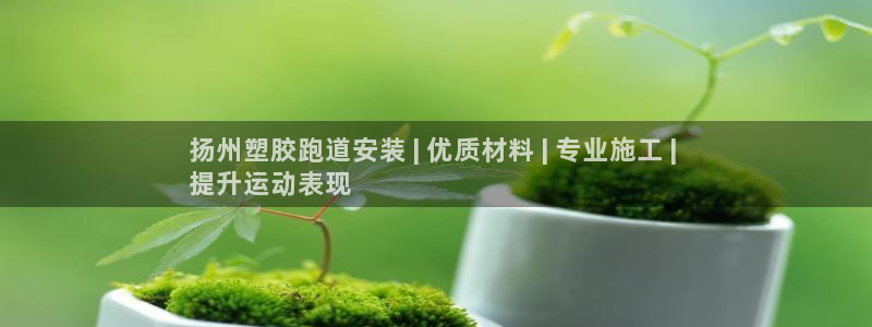尊龙-人生就是博!：扬州塑胶跑道安装 | 优质材料 