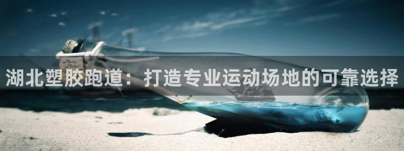 尊龙专访：湖北塑胶跑道：打造专业运动场地的可靠选择