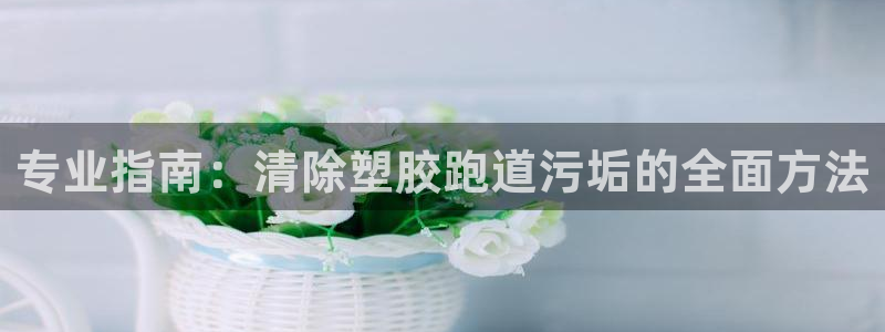 尊龙l1500：专业指南：清除塑胶跑道污垢的全面方法