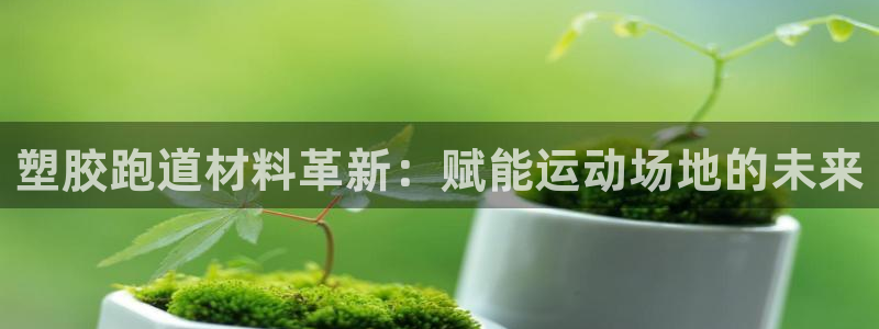 尊龙凯时客服：塑胶跑道材料革新：赋能运动场地的未来